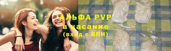 индика Костерёво