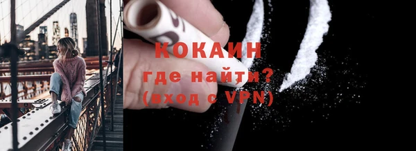 индика Костерёво