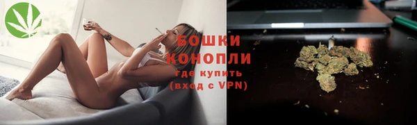 индика Костерёво