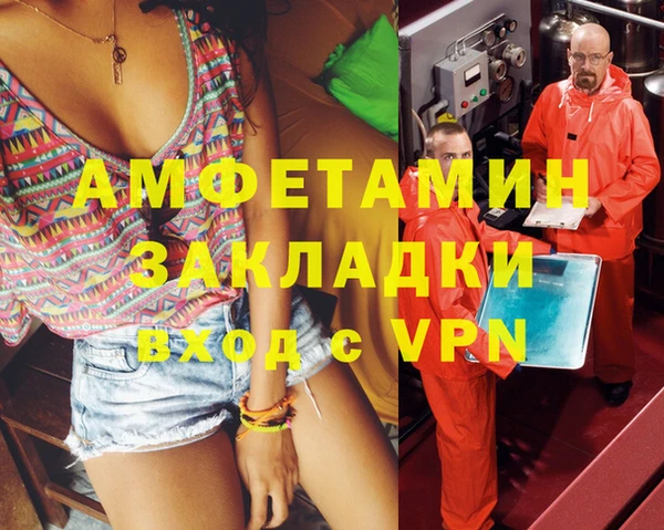 индика Костерёво