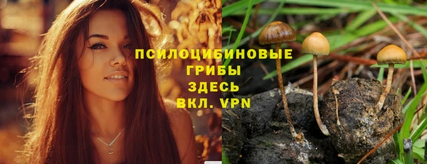 индика Костерёво