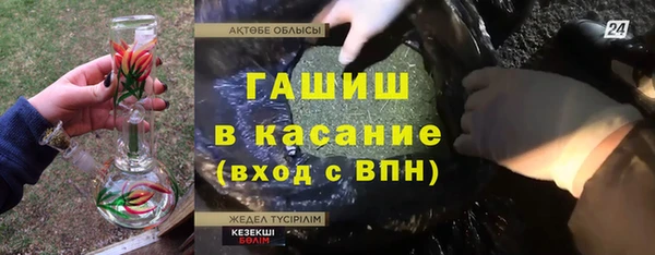 индика Костерёво