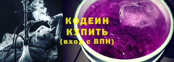 индика Костерёво